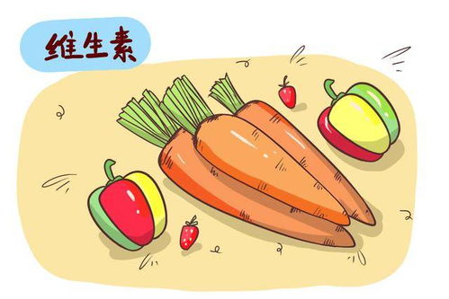 中小学限售高糖食品 食品安全父母须重视，互联网技术赋能监管